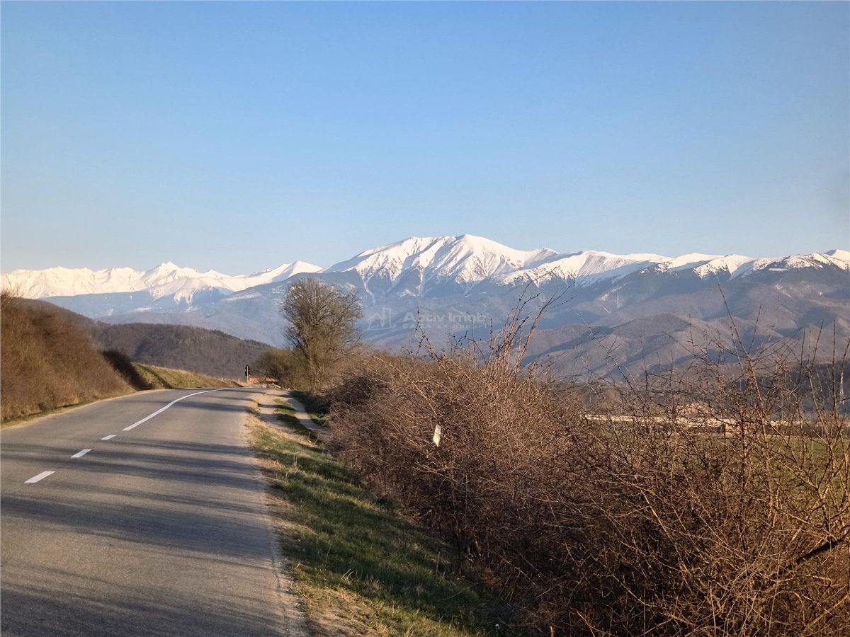 Teren extravilan de vanzare Talmaciu - 