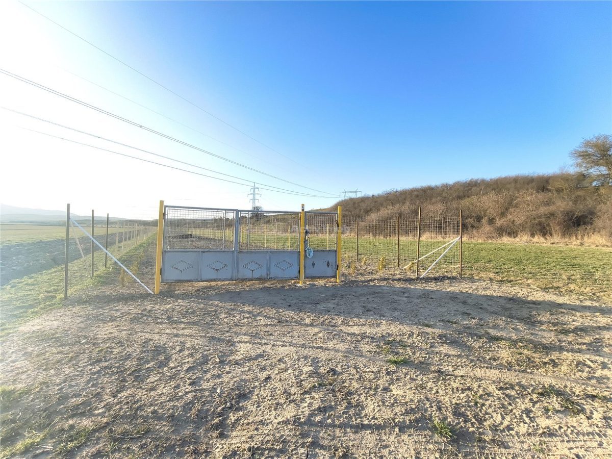 Teren extravilan de vanzare Talmaciu - foto 2