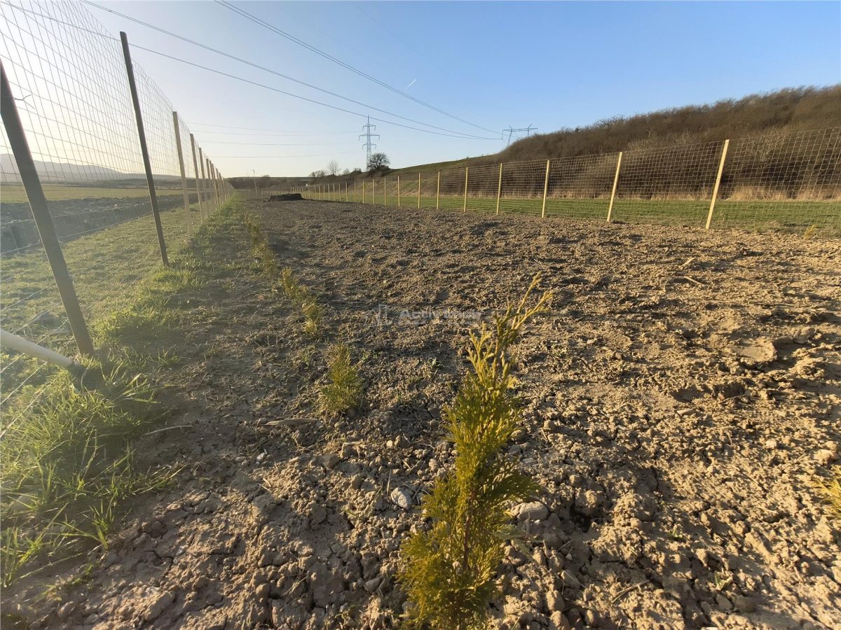 Teren extravilan de vanzare Talmaciu - foto 3