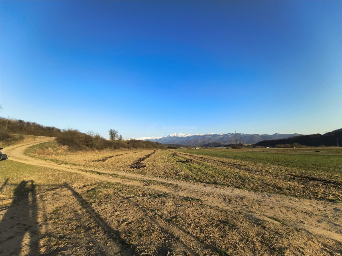 Teren extravilan de vanzare Talmaciu - foto 5