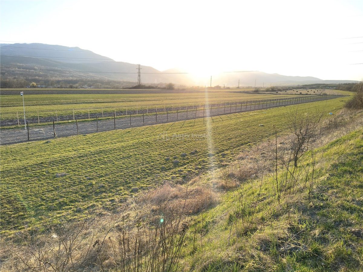 Teren extravilan de vanzare Talmaciu - foto 8
