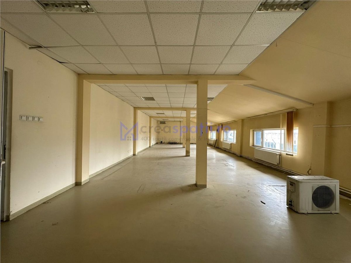 Spatii diverse sau 700mp, in spate la Iulius Mall - foto 13