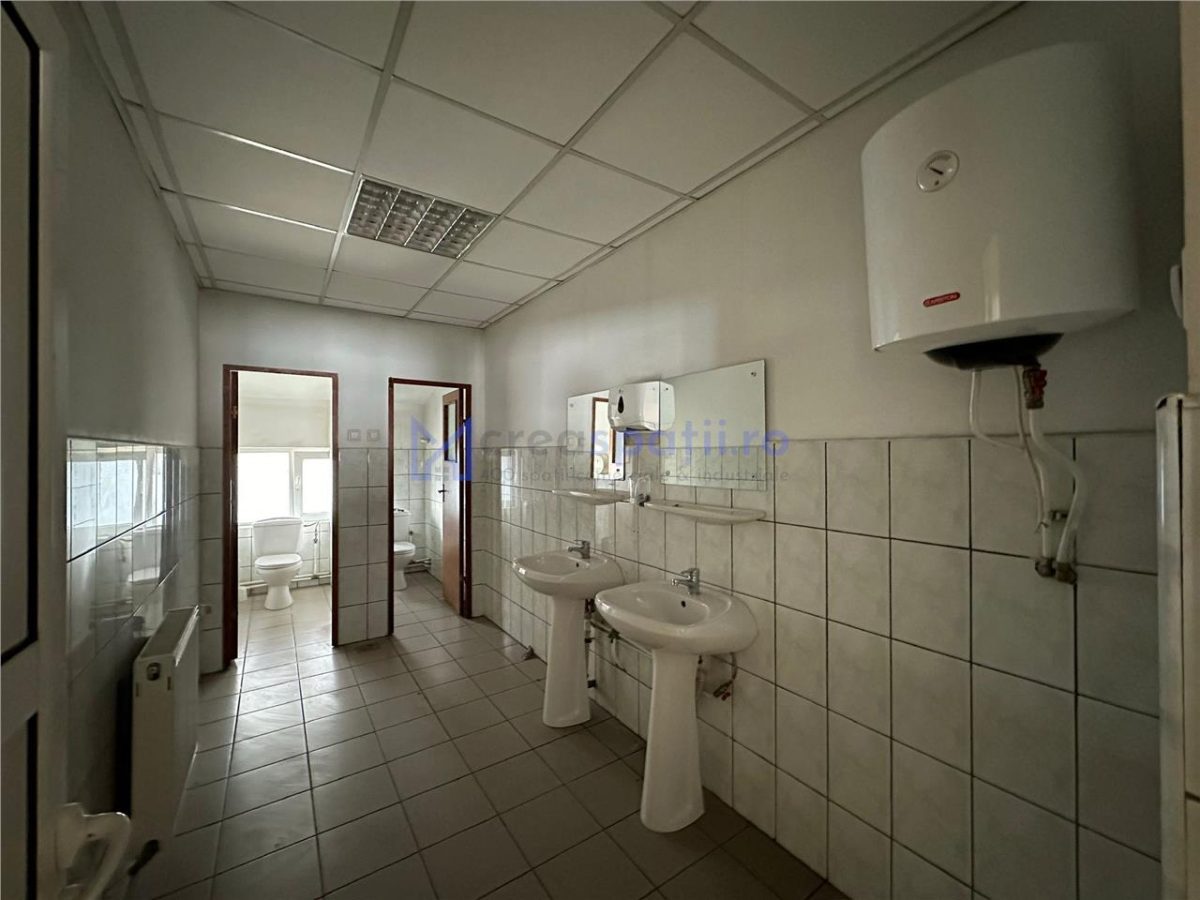 Spatii diverse sau 700mp, in spate la Iulius Mall - foto 16