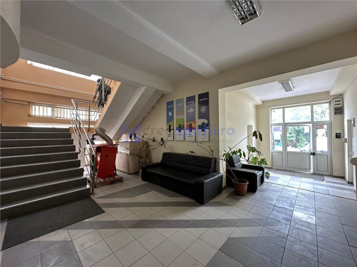 Spatii diverse sau 700mp, in spate la Iulius Mall - foto 3