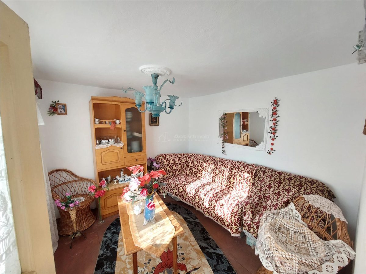 Casa P+1, 5 camere, teren 1200 mp, sat Barbuncesti, Grajdana - foto 5