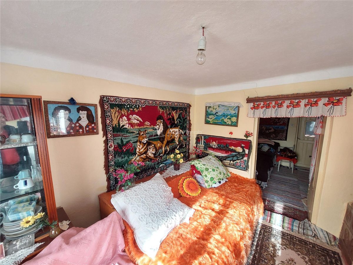 Casa P+1, 5 camere, teren 1200 mp, sat Barbuncesti, Grajdana - foto 7