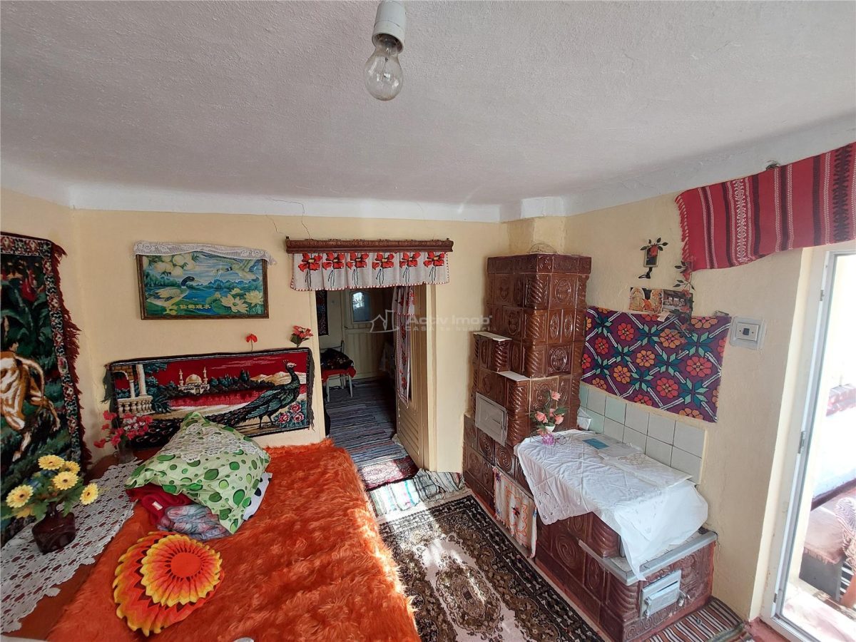 Casa P+1, 5 camere, teren 1200 mp, sat Barbuncesti, Grajdana - foto 8