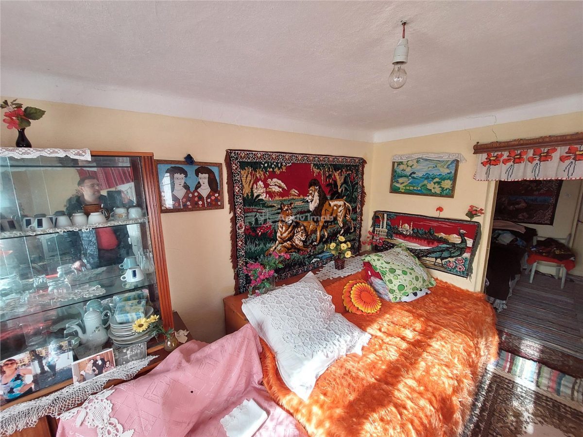 Casa P+1, 5 camere, teren 1200 mp, sat Barbuncesti, Grajdana - foto 9