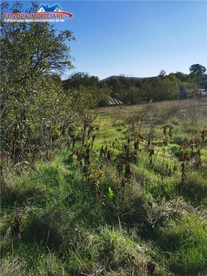 Teren de vanzare in Nifon Tulcea - foto 2