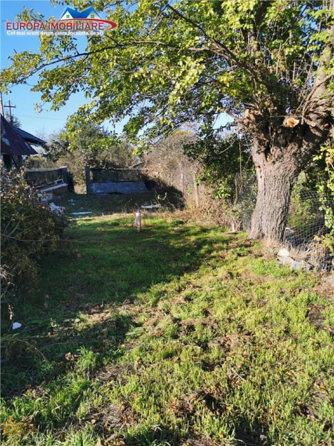 Teren de vanzare in Nifon Tulcea - foto 3