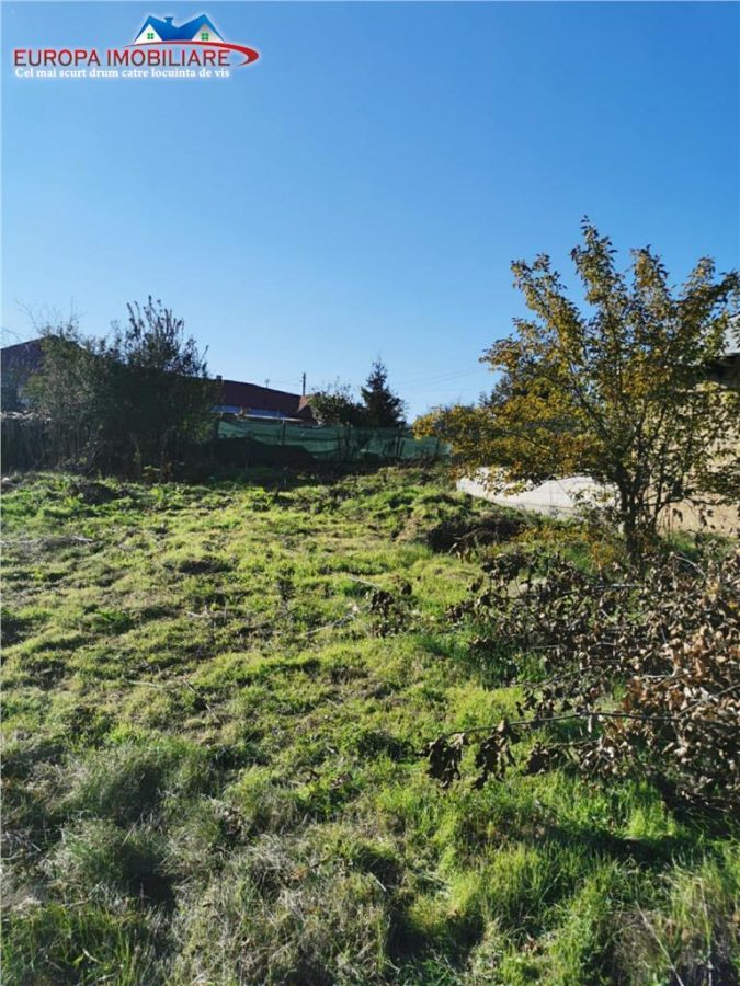 Teren de vanzare in Nifon Tulcea - foto 4