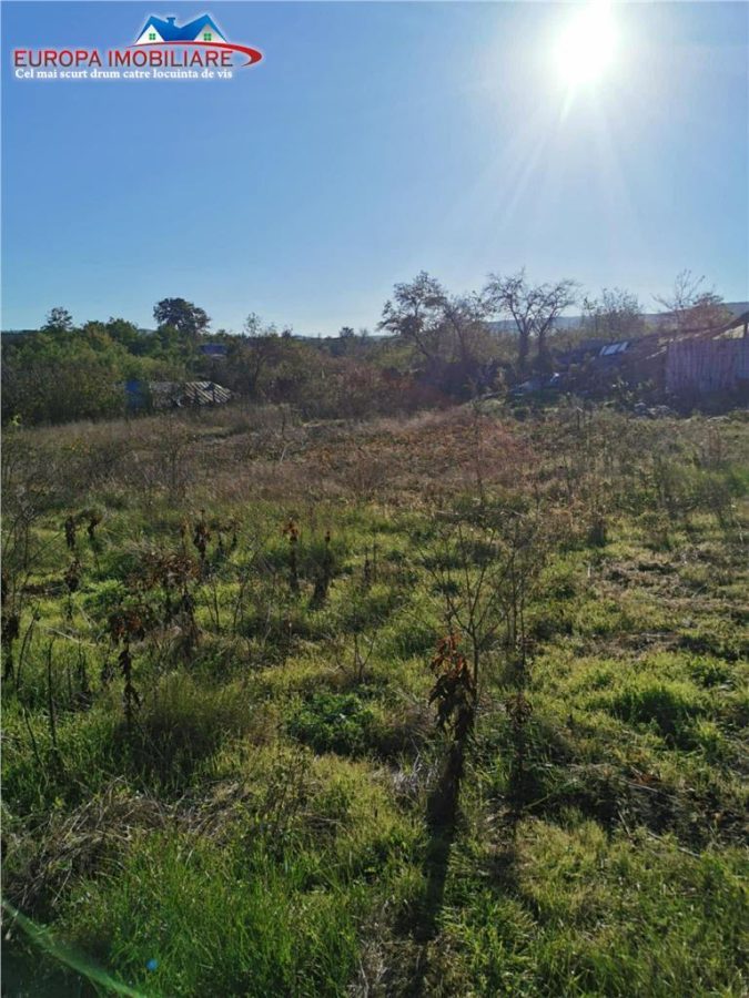 Teren de vanzare in Nifon Tulcea - foto 5