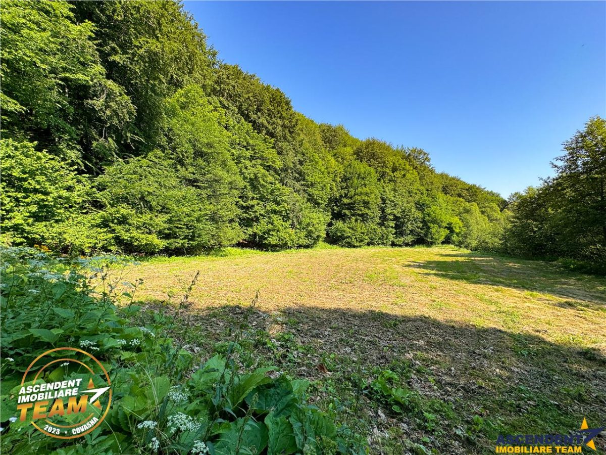 FILM! Teren extravilan pe 2.737mp,zona pretioasa,acces facil,Dobarlau,Covasna - foto 2