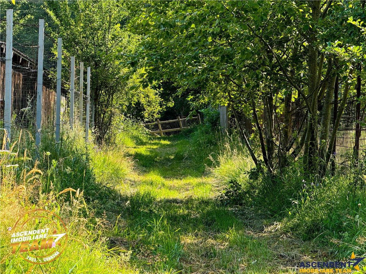 FILM! Teren extravilan pe 2.737mp,zona pretioasa,acces facil,Dobarlau,Covasna - foto 3