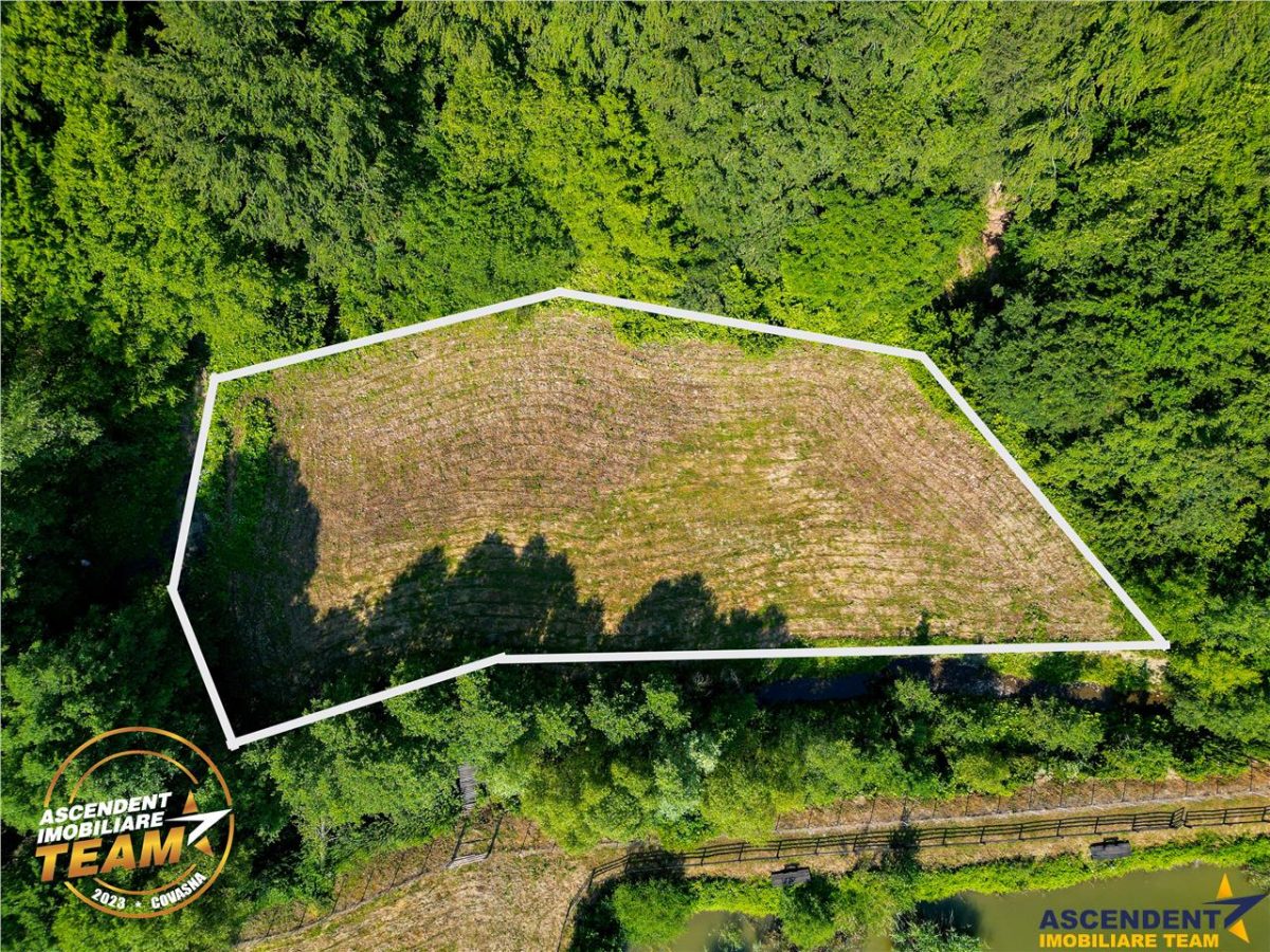 FILM! Teren extravilan pe 2.737mp,zona pretioasa,acces facil,Dobarlau,Covasna - foto 4