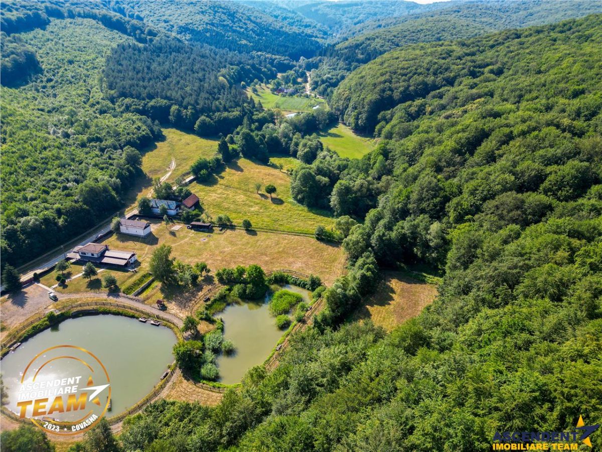 FILM! Teren extravilan pe 2.737mp,zona pretioasa,acces facil,Dobarlau,Covasna - foto 5