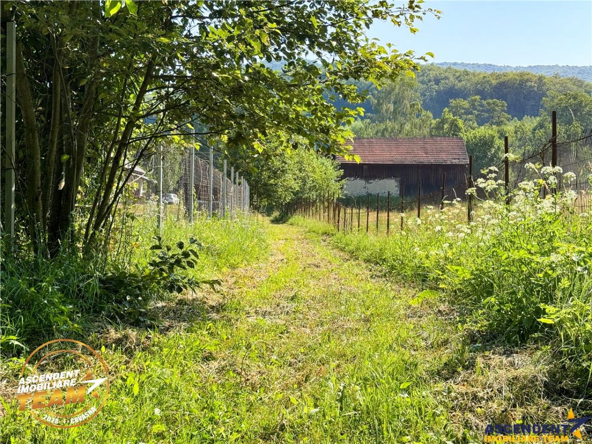 FILM! Teren extravilan pe 2.737mp,zona pretioasa,acces facil,Dobarlau,Covasna - foto 6