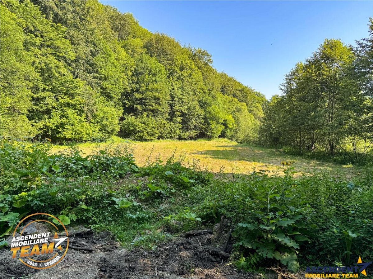 FILM! Teren extravilan pe 2.737mp,zona pretioasa,acces facil,Dobarlau,Covasna - foto 9