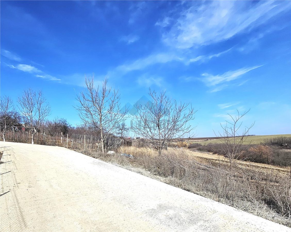 Dorobant, parcele teren intravilan, - foto 2