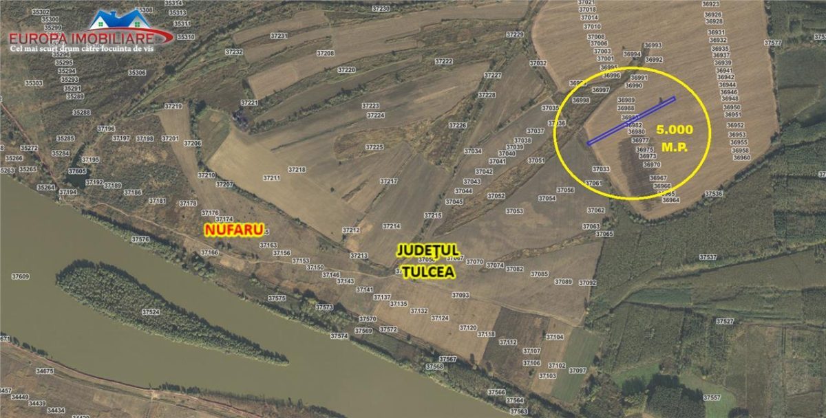 Teren agricol de vanzare Nufaru - foto 2