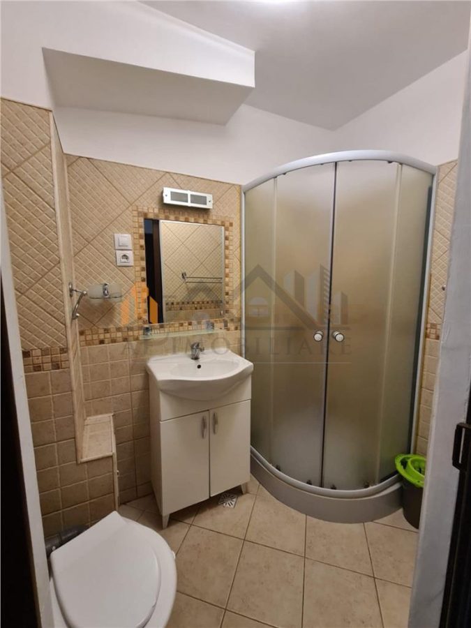 Inchiriere apartament 1 camera - Podu de Fier - foto 5