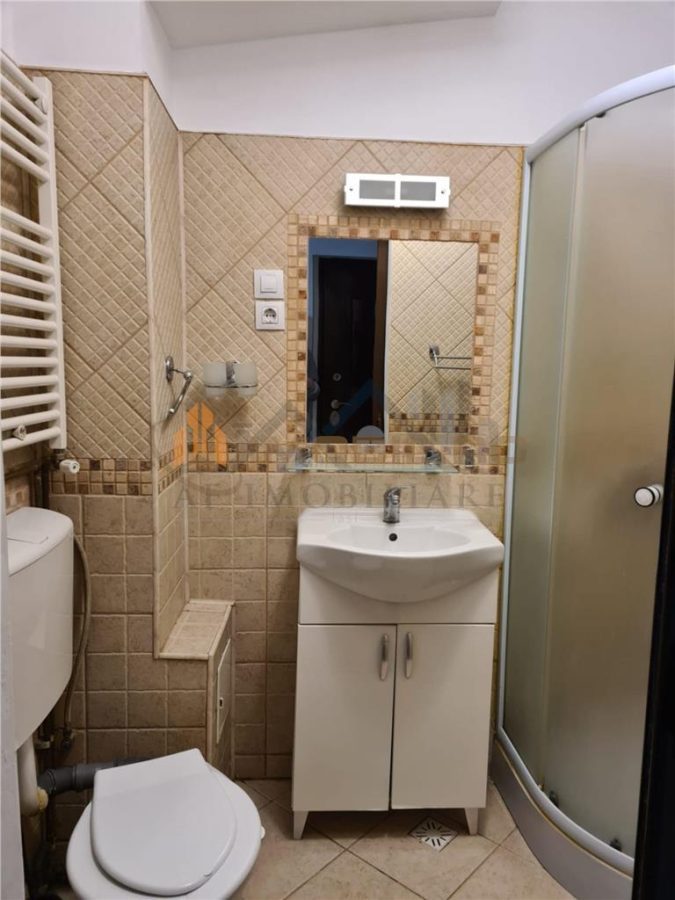 Inchiriere apartament 1 camera - Podu de Fier - foto 9