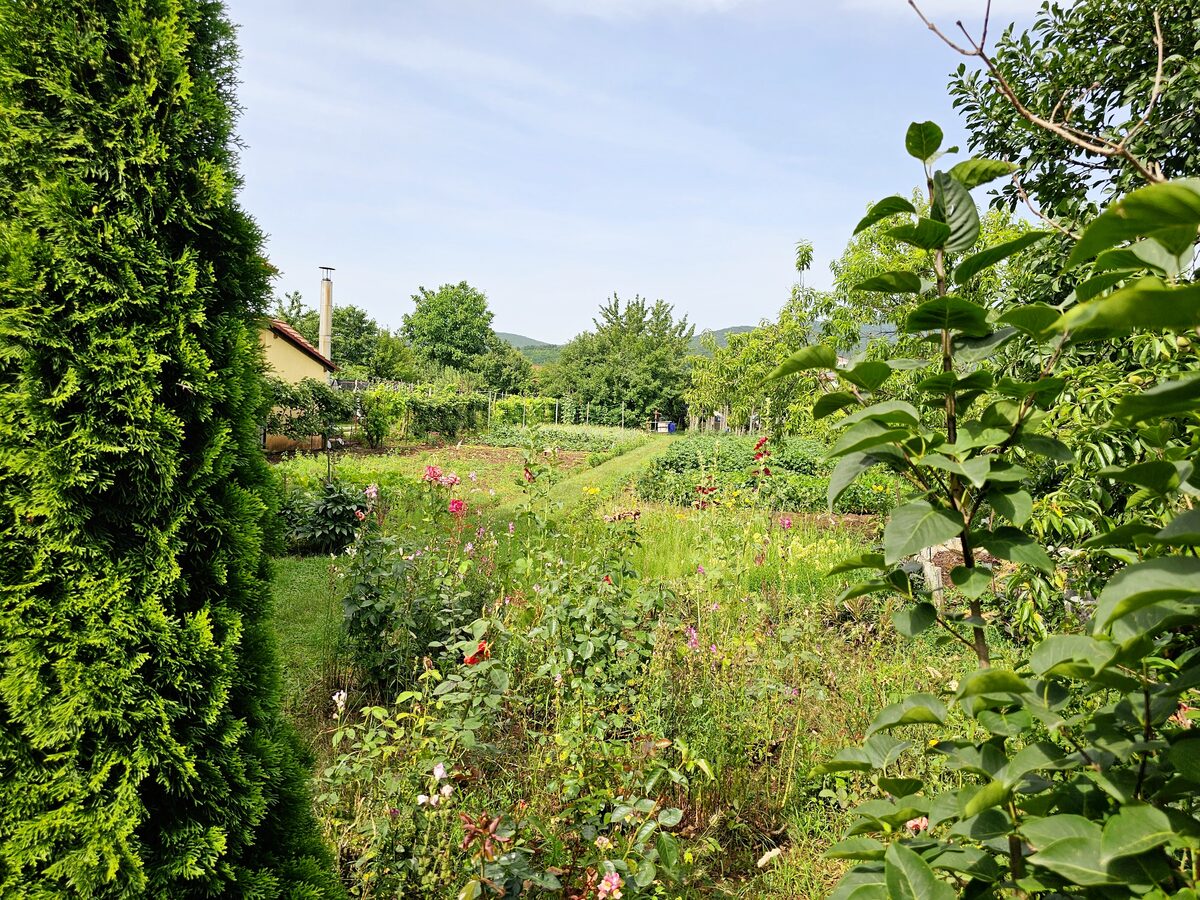 Teren intravilan, 1400 mp, toate utilitatile, zona Micesti - Alba Iulia