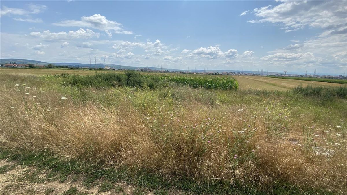 Teren de vanzare zona Orizont 5859 mp - Alba Iulia