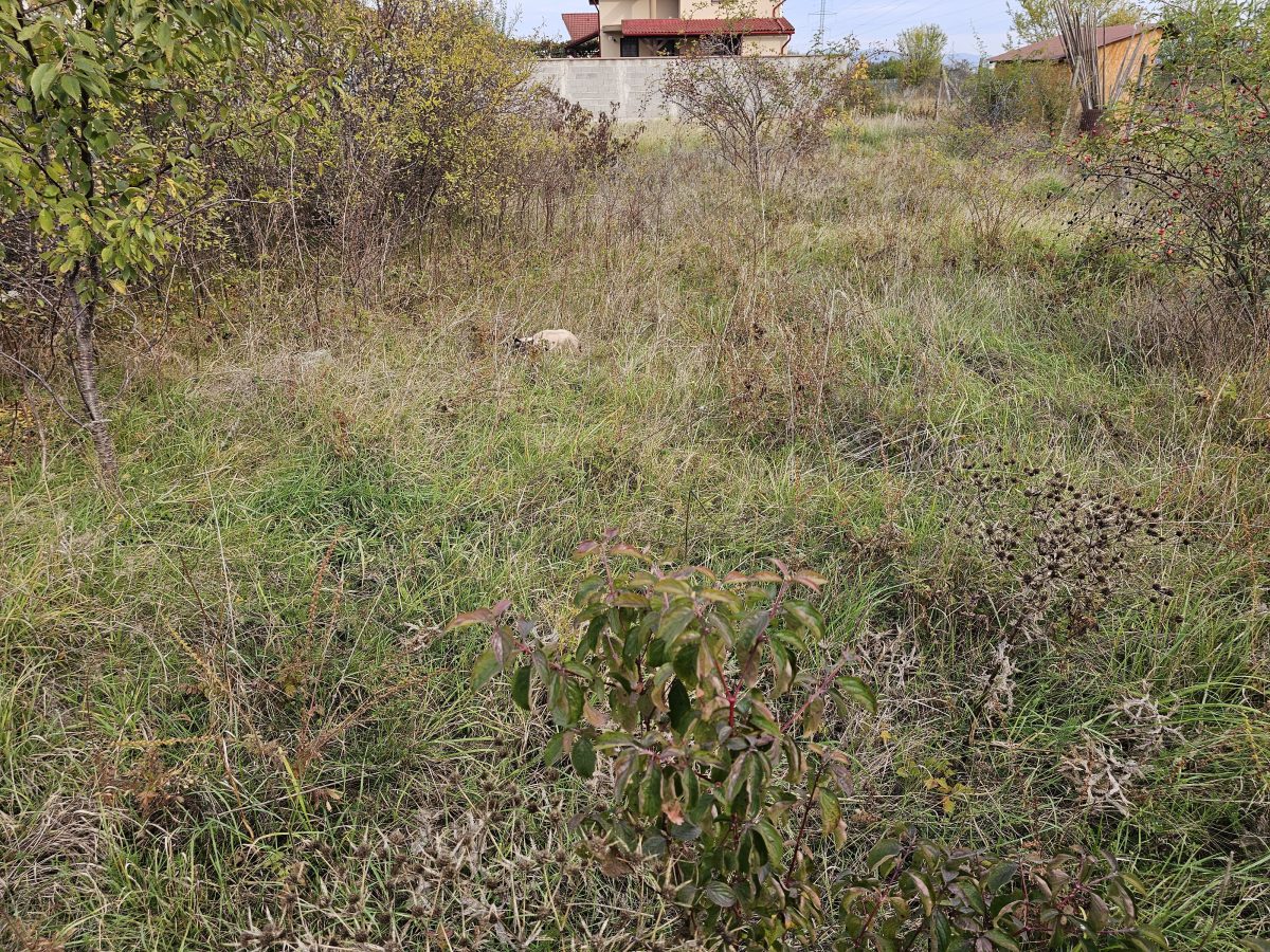 Teren intravilan construibil, 585 mp, zona Alba-Micesti - foto 2