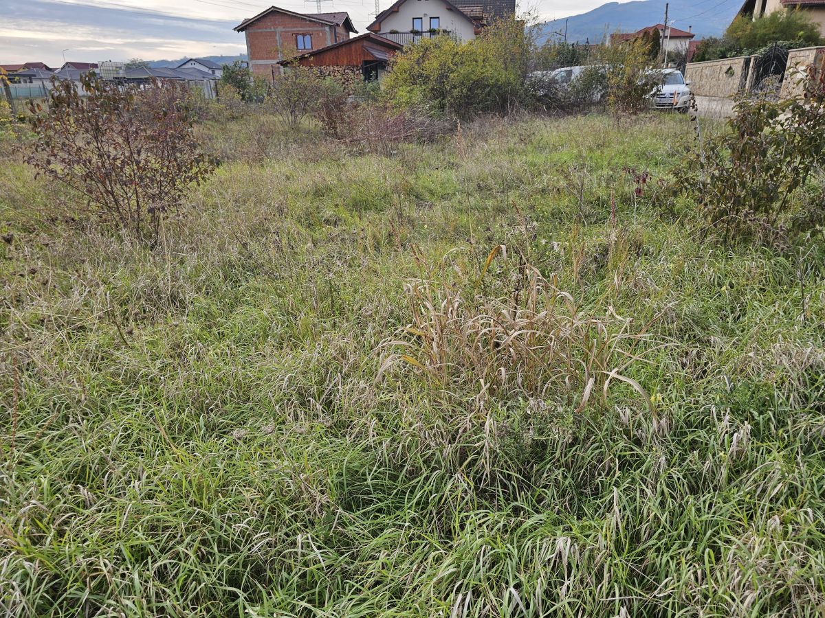 Teren intravilan construibil, 585 mp, zona Alba-Micesti - foto 3