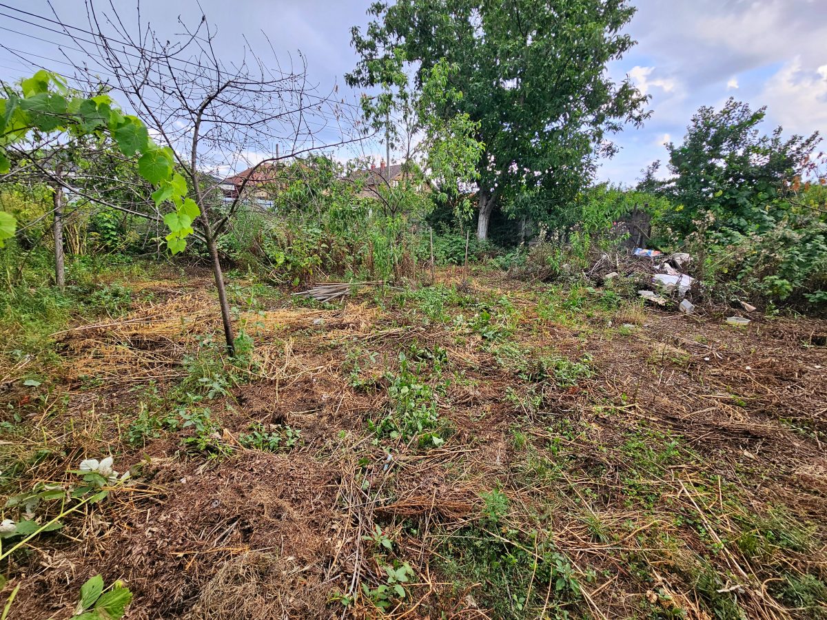 Casa 3 camere, 1000 teren la asfalt, Barabant - foto 3