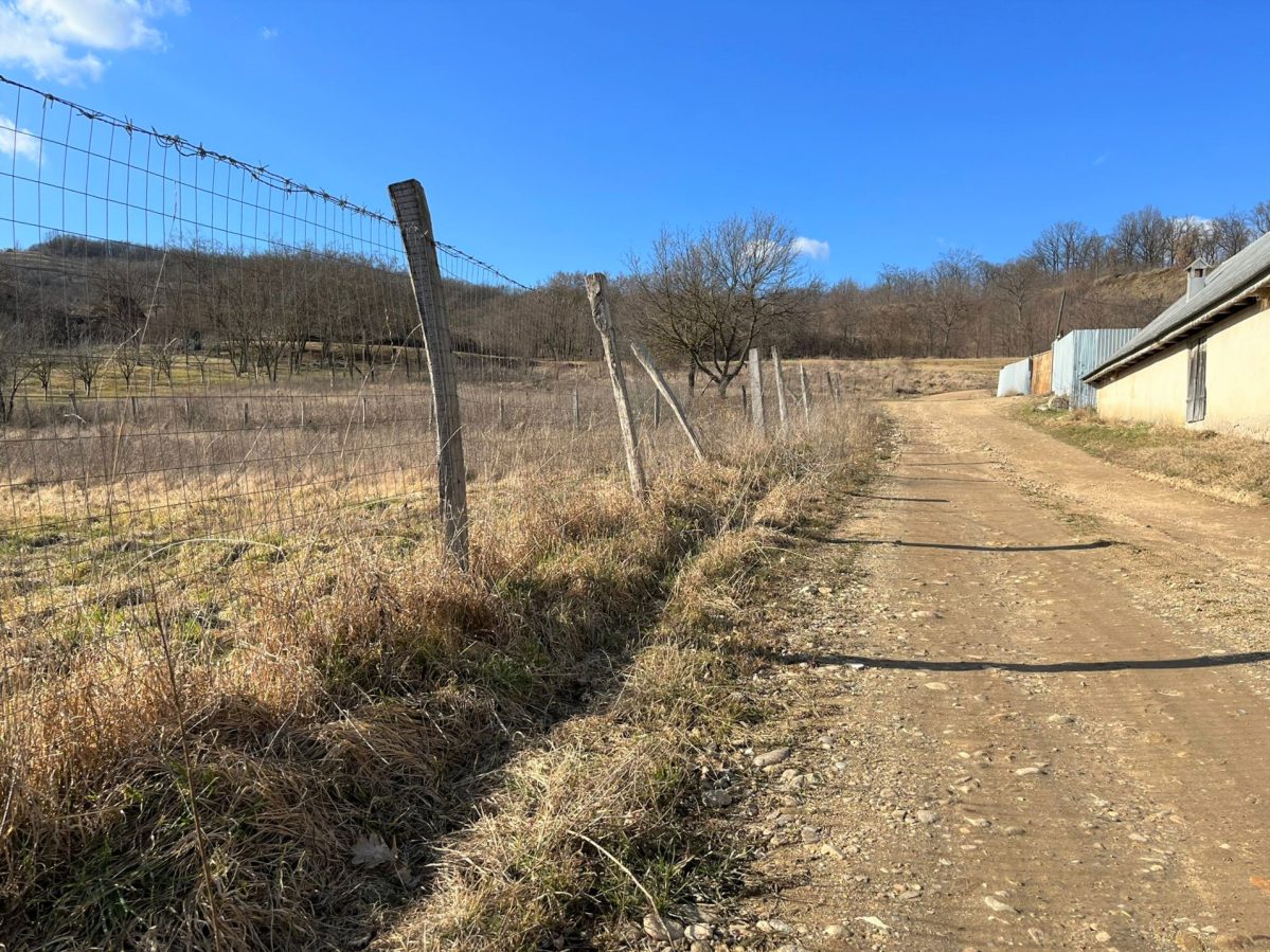 Teren de vanzare, toate utilitatile, 946mp - foto 4