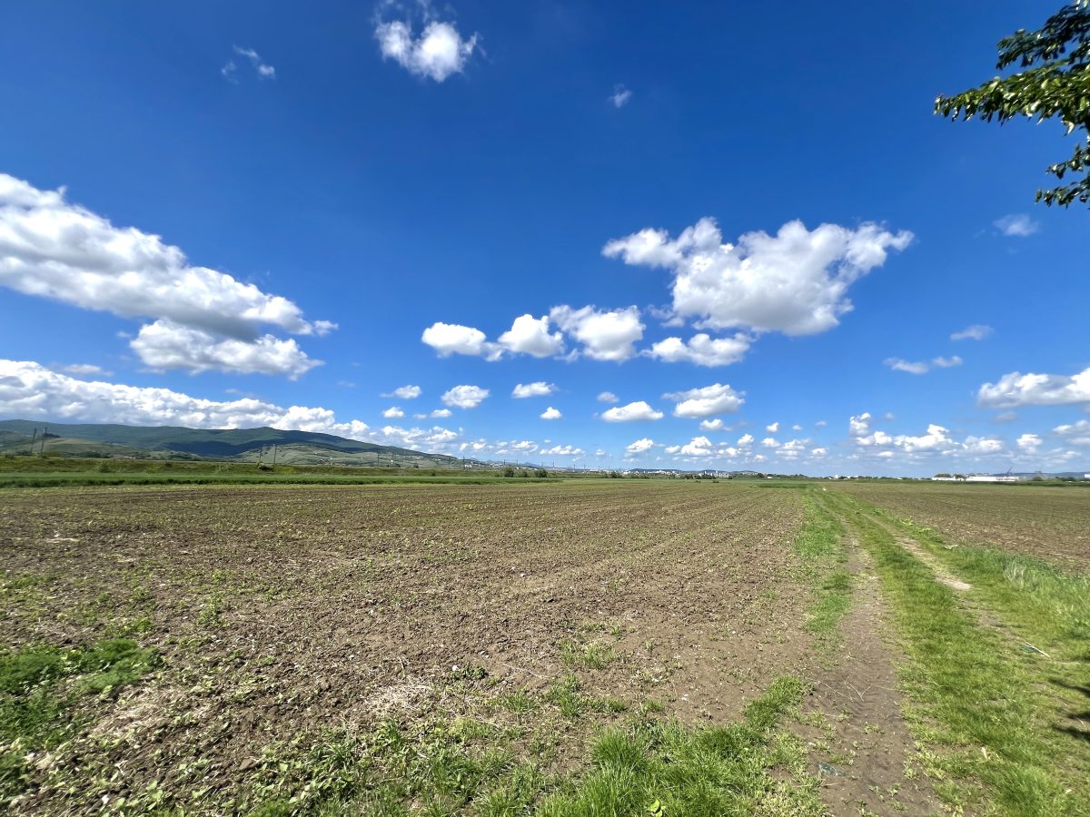 Teren Mixt Industrial de vanzare, 5360mp,  deschidere 41ml - foto 3