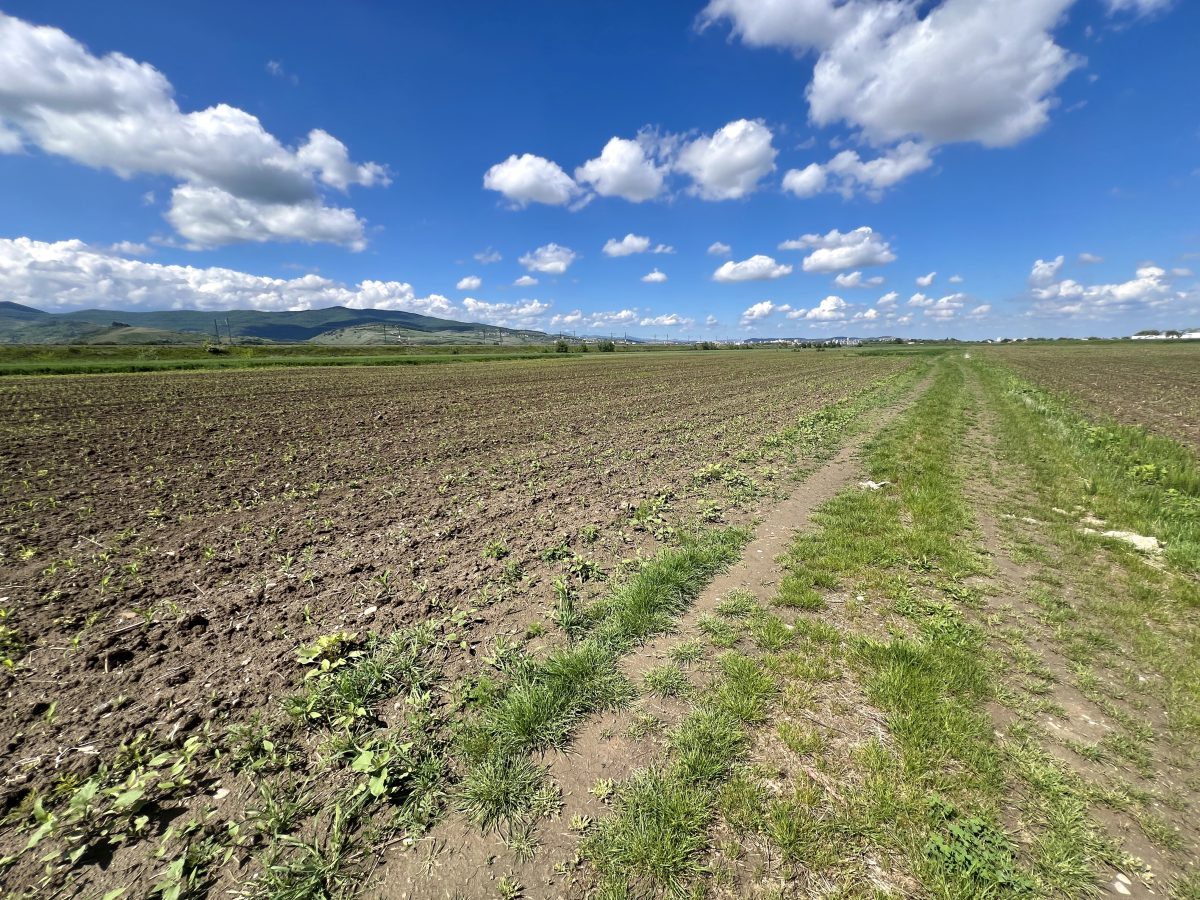 Teren Mixt Industrial de vanzare, 5360mp,  deschidere 41ml - foto 4