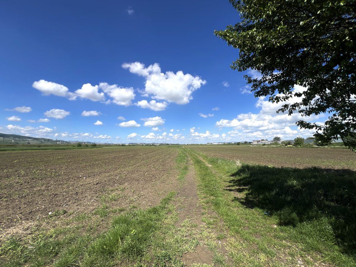 Teren Mixt Industrial de vanzare, 5360mp,  deschidere 41ml - foto 5