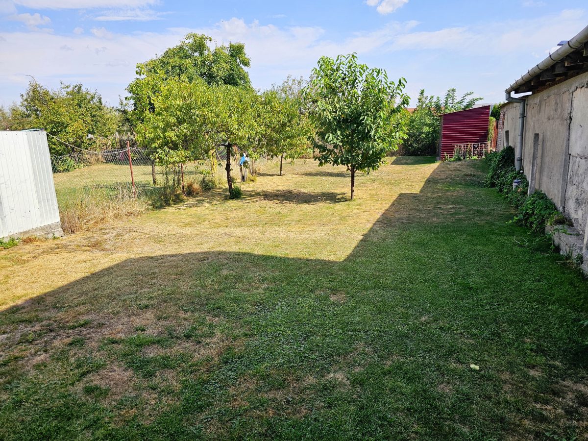 Casa 4 camere, 2 bai, 2 bucatarii, 1050 mp teren, zona Centru - foto 3