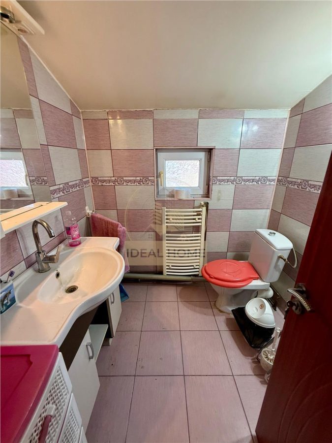 Lunca Cetatuii - Casa individuala 4 camere - la 200 m de Drumul judetean - foto 14