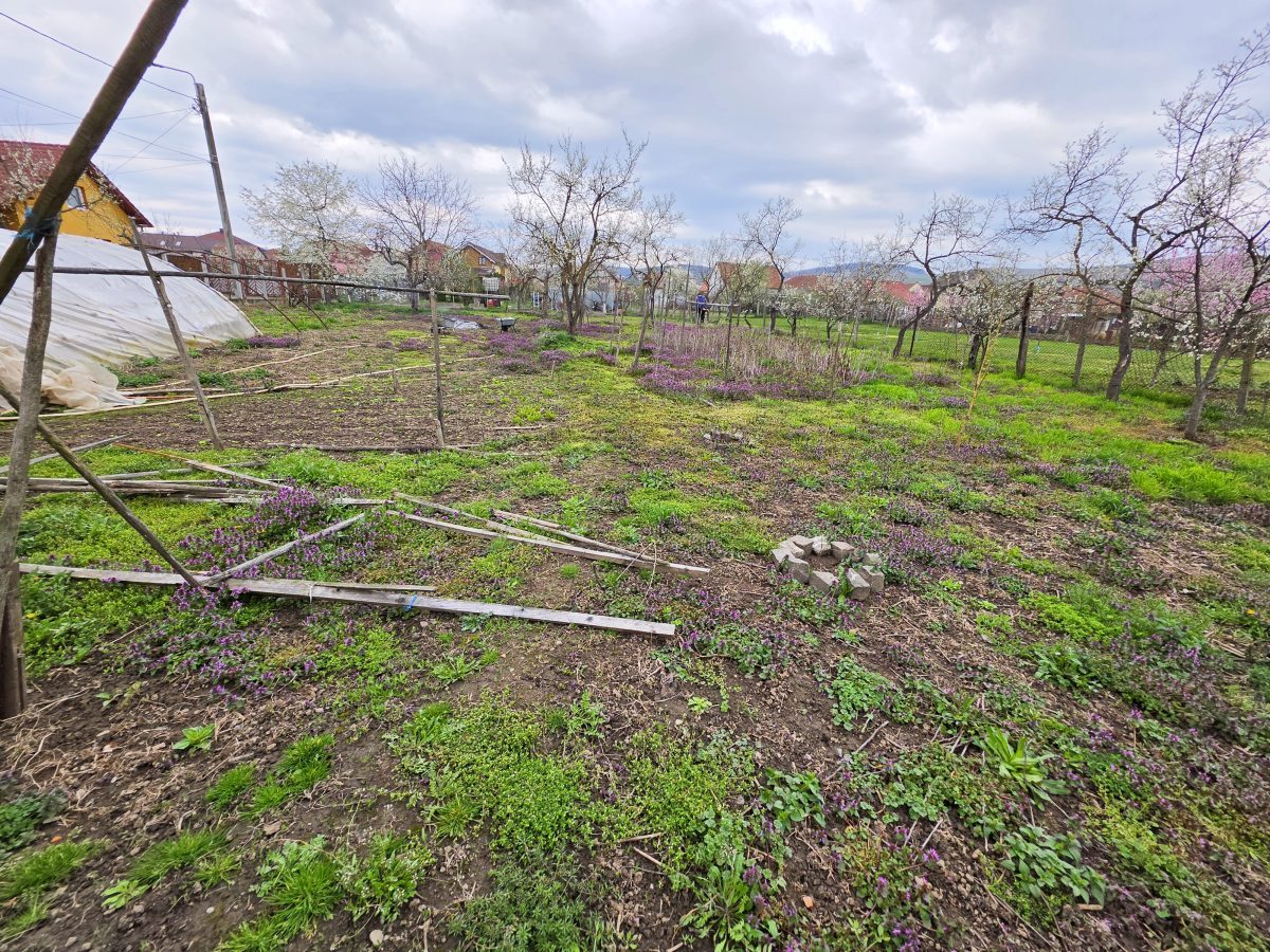 Teren intravilan parcelat, 1621 mp, cu casa demolabila, Barabant - Alba Iulia
