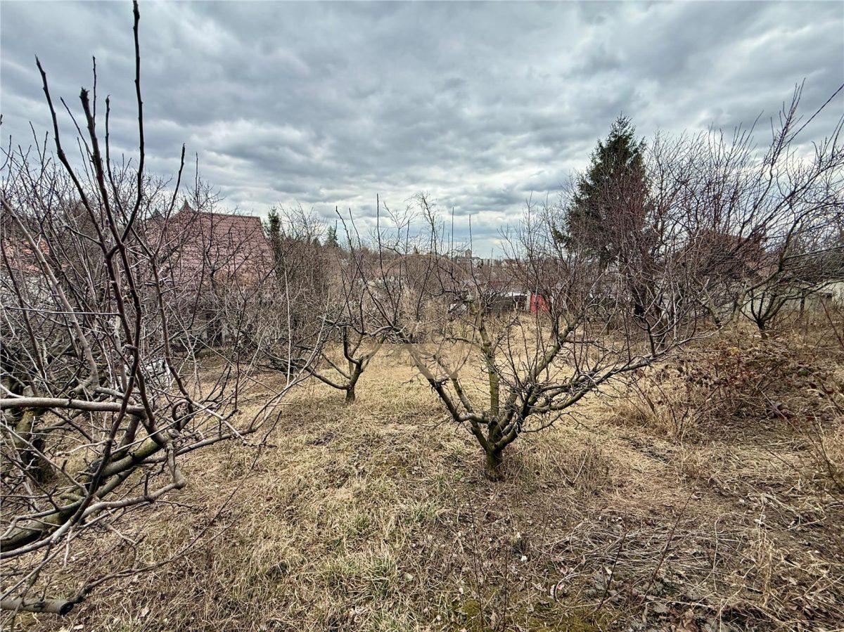 Casa cu teren 1480 mp Lidl Tudor Neculai - foto 10