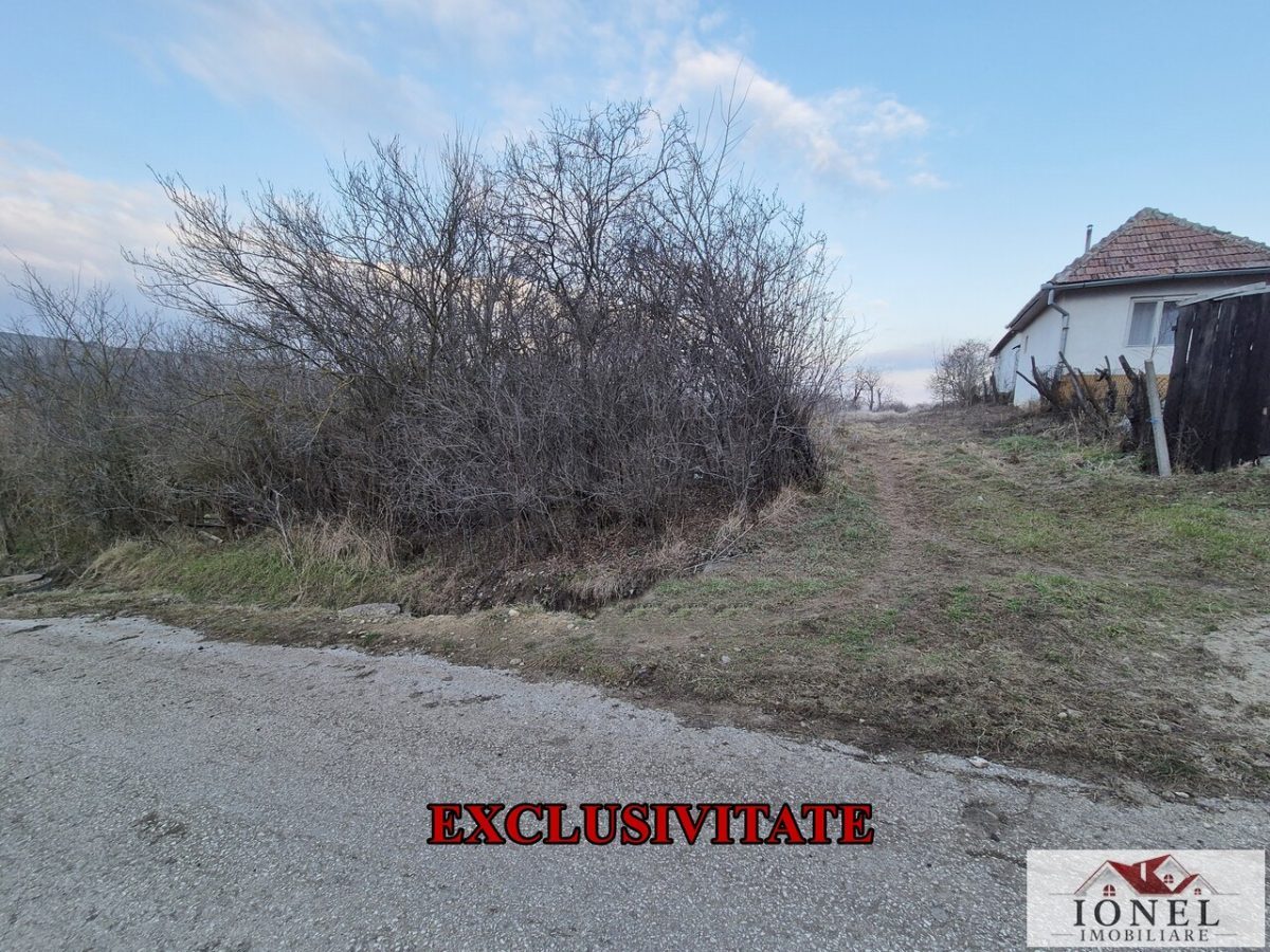 Teren intravilan de vanzare in Henig - 