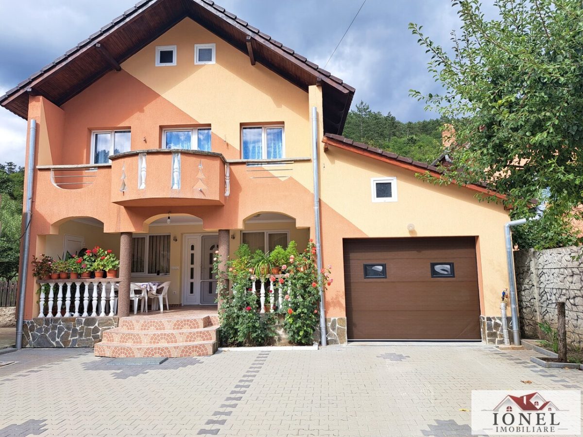 Casa noua cu 5.624 mp teren de vanzare in Vintu de Jos - Vintu de Jos