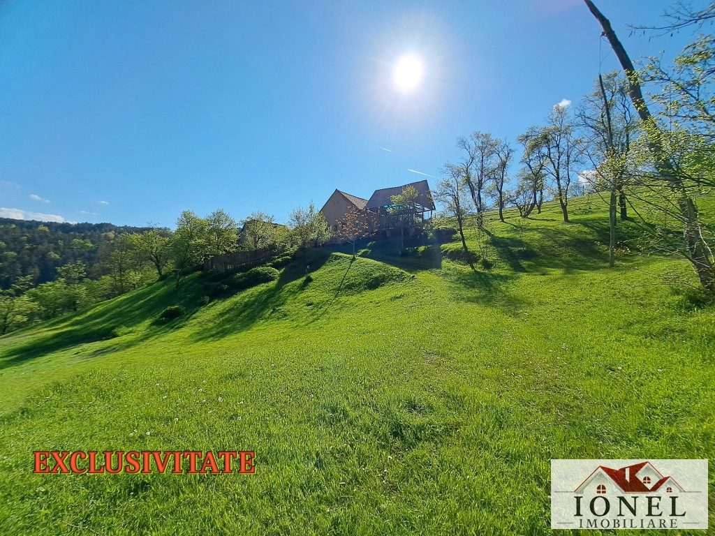 Casa de vanzare cu 46774 mp teren in zona Vintu de Jos - Vintu de Jos