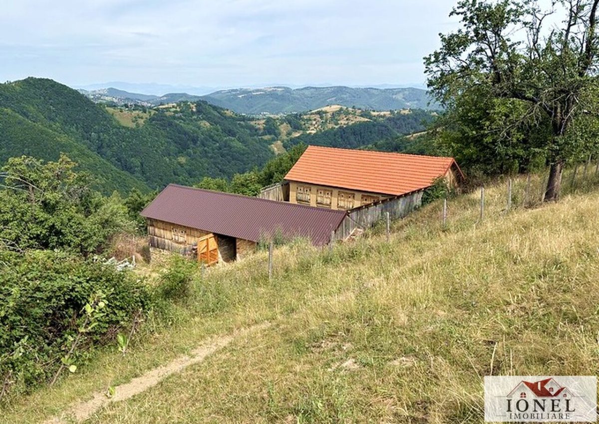 Casa de vanzare in comuna Sasciori cu 84.843 mp teren - 