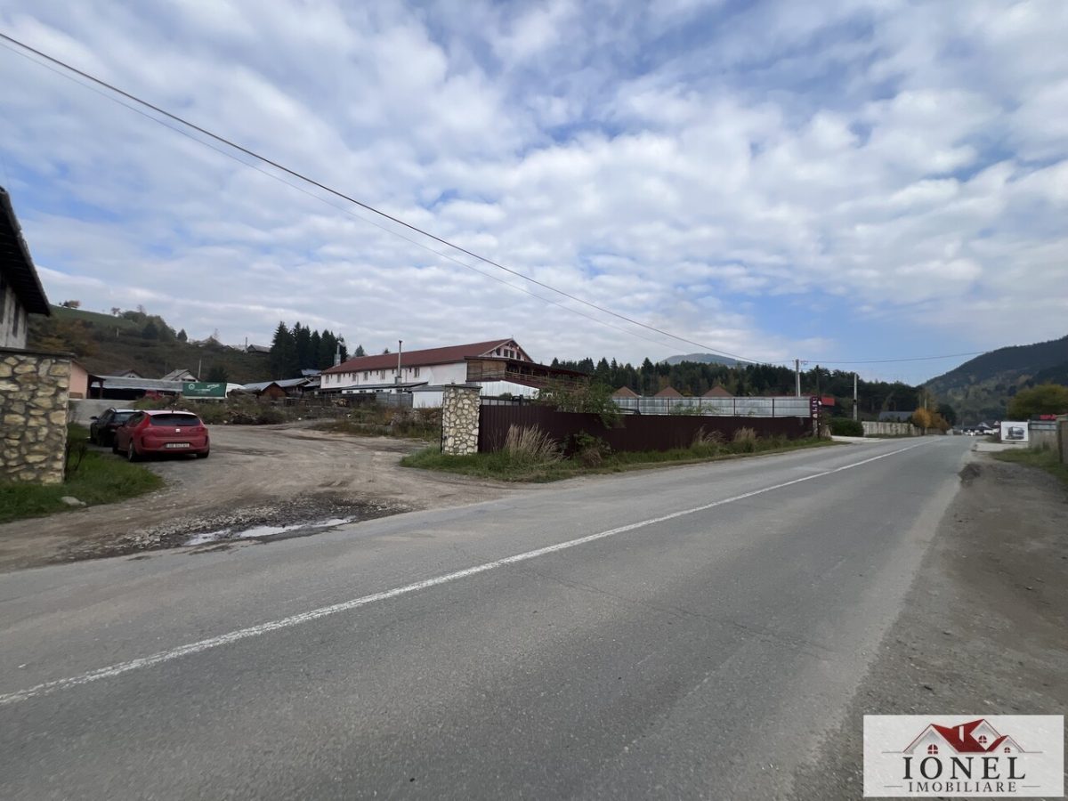 Teren intravilan de vanzare in Bistra - 