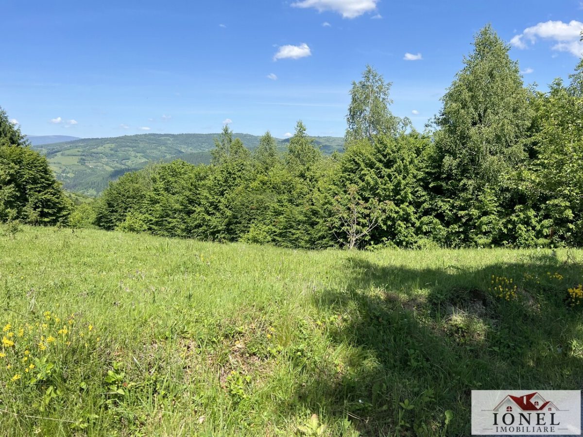 Vanzare teren 11.972 mp in Strungari - Pianu - 