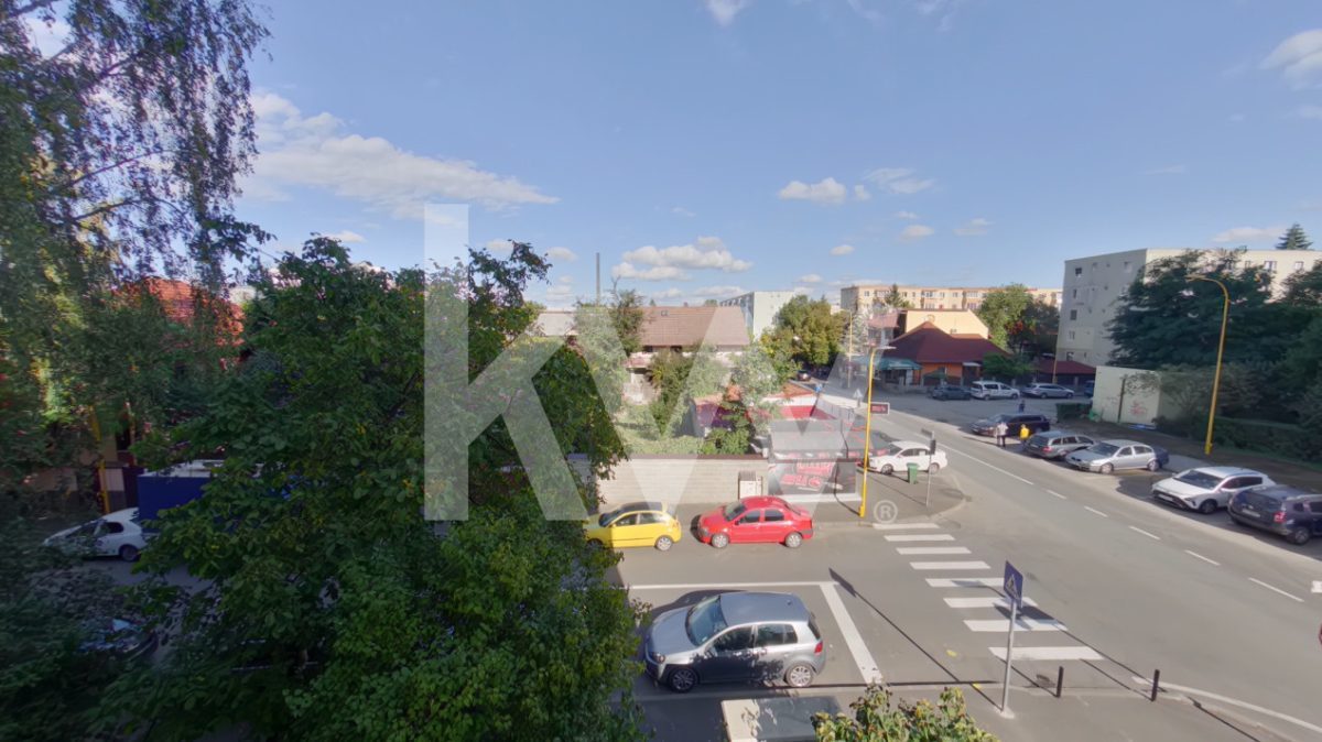 Închiriere apartament 2 camere mobilat și utilat, strada Brândușelor - foto 9