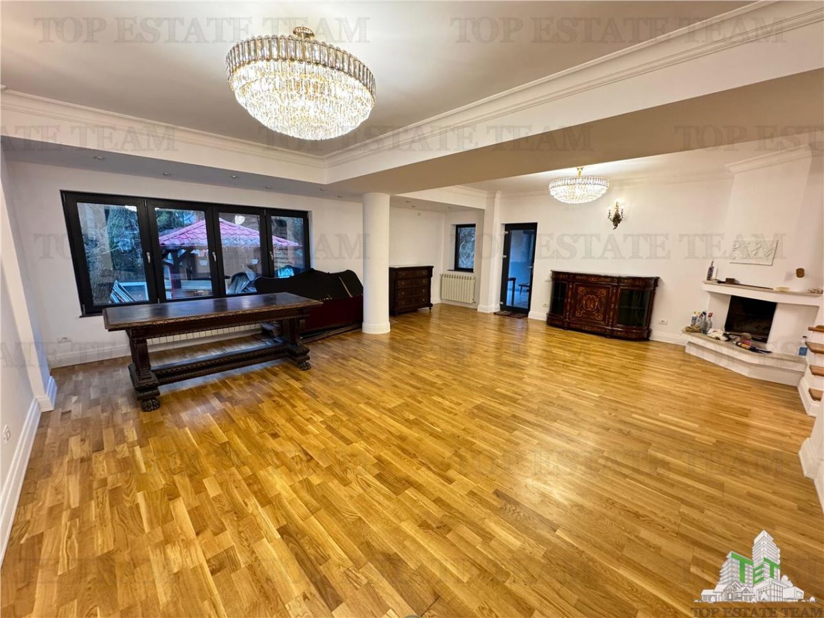 Vila pretabila rezidenta/office Iancu Nicolae - 