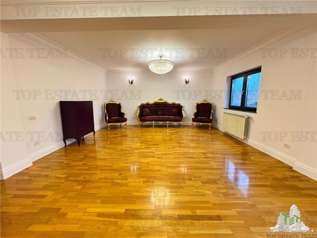 Vila pretabila rezidenta/office Iancu Nicolae - foto 15