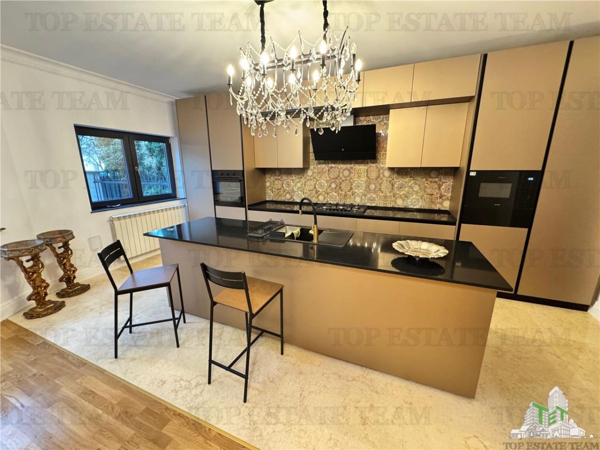 Vila pretabila rezidenta/office Iancu Nicolae - foto 4