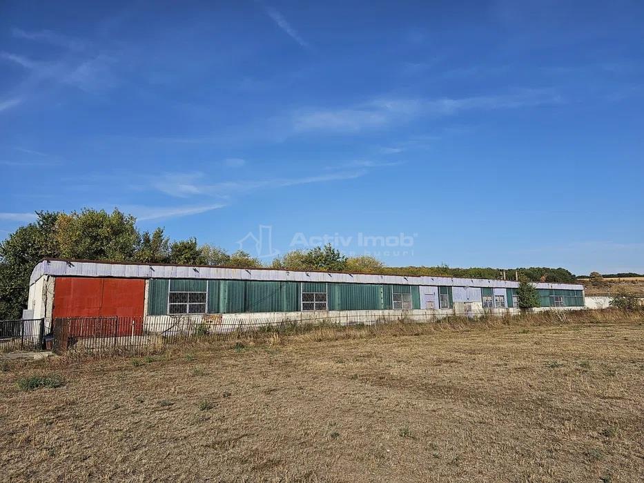 Hala industriala (1000 mp) si teren (4000 mp), Scornicesti, Trafo - foto 2